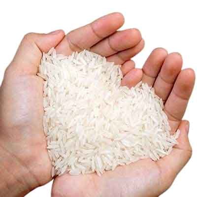 Mahasagar Rice